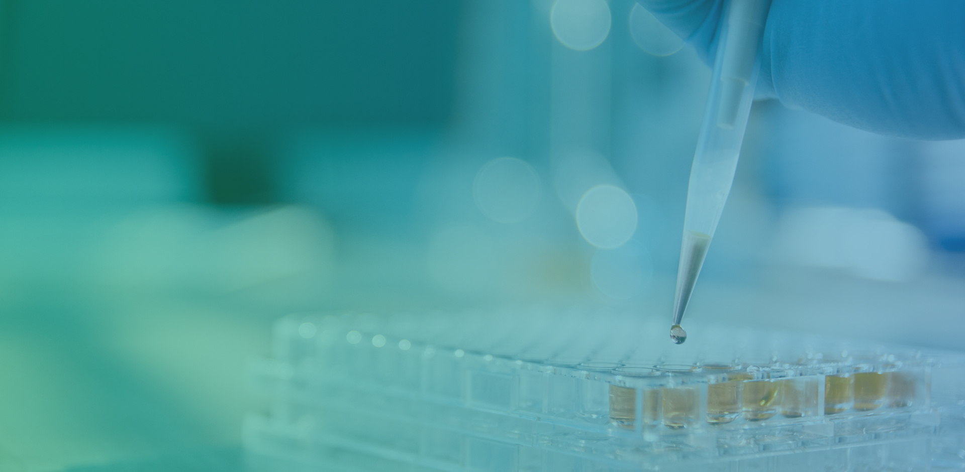 以科(kē)技(jì)創新引領産品開(kāi)發