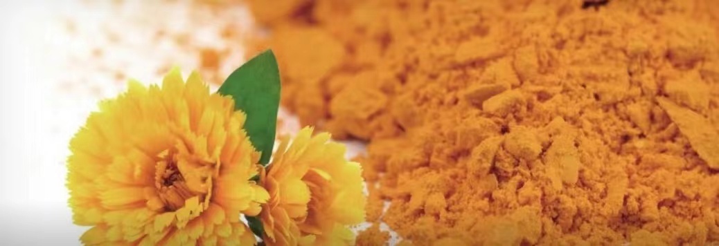 葉黃(huáng)素共晶--量小(xiǎo)利大(dà)