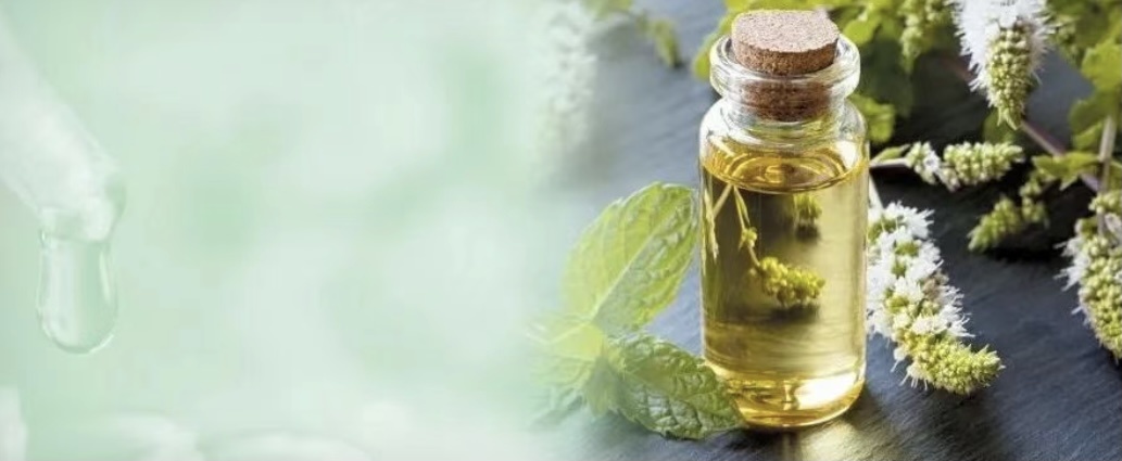 動物(wù)健康 | 晶優佳®--蛋禽盈利之利器(qì)