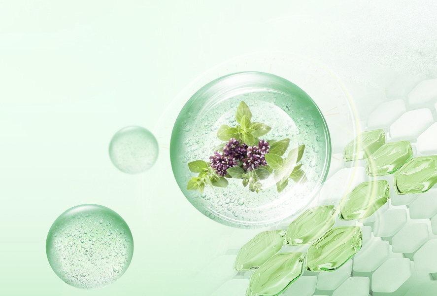 最新研究│晶優佳®對(duì)雞肉品質、營養成分(fēn)和(hé)抗氧化(huà)性能(néng)的(de)影(yǐng)響